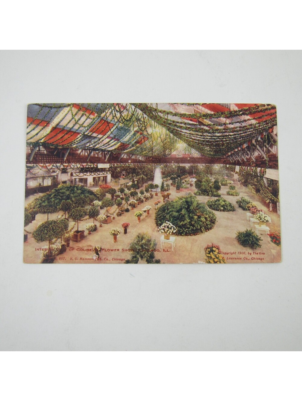 Postcard Chicago Illinois Coliseum Flower Show Interior View Antique UNPOSTED